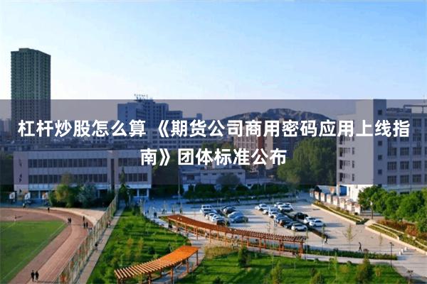 杠杆炒股怎么算 《期货公司商用密码应用上线指南》团体标准公布