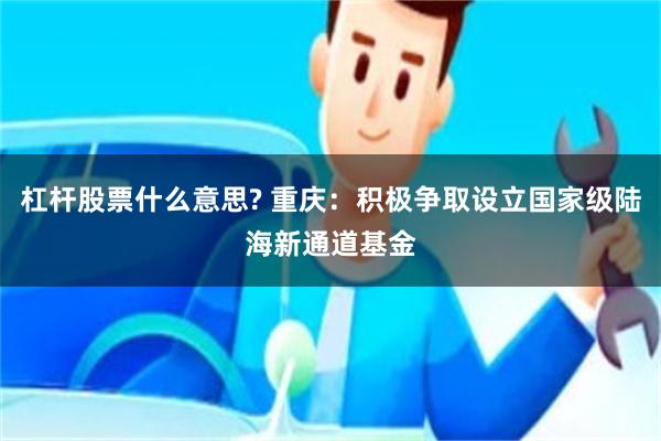 杠杆股票什么意思? 重庆：积极争取设立国家级陆海新通道基金