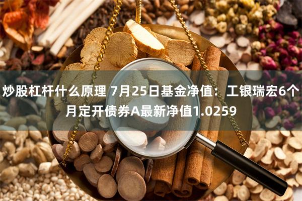 炒股杠杆什么原理 7月25日基金净值：工银瑞宏6个月定开债券A最新净值1.0259