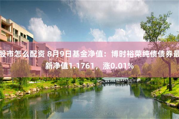 股市怎么配资 8月9日基金净值：博时裕荣纯债债券最新净值1.1761，涨0.01%