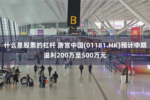 什么是股票的杠杆 唐宫中国(01181.HK)预计中期溢利200万至500万元