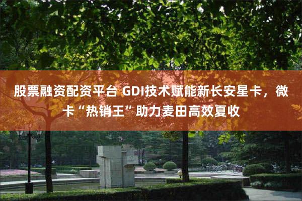 股票融资配资平台 GDI技术赋能新长安星卡，微卡“热销王”助力麦田高效夏收