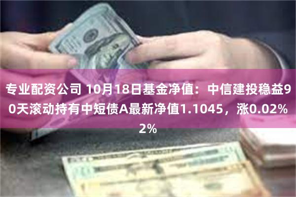 专业配资公司 10月18日基金净值：中信建投稳益90天滚动持有中短债A最新净值1.1045，涨0.02%