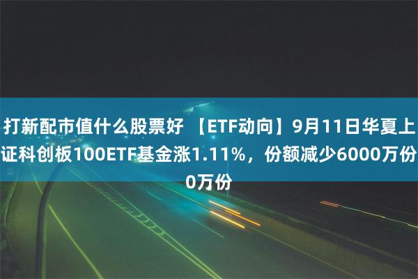 打新配市值什么股票好 【ETF动向】9月11日华夏上证科创板100ETF基金涨1.11%，份额减少6000万份