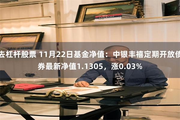 去杠杆股票 11月22日基金净值：中银丰禧定期开放债券最新净值1.1305，涨0.03%