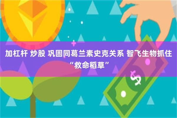 加杠杆 炒股 巩固同葛兰素史克关系 智飞生物抓住“救命稻草”